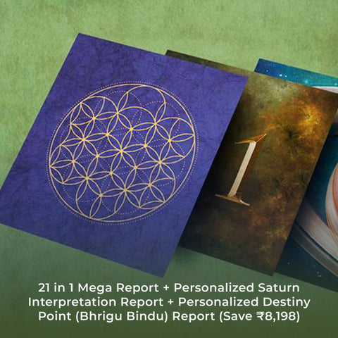 21 in 1 Mega Report + Personalized Saturn Interpretation Report + Personalized Destiny Point (Bhrigu Bindu) Report (Save ₹8,198)