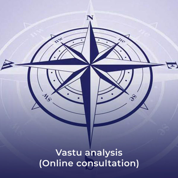 Vastu analysis (Online consultation)